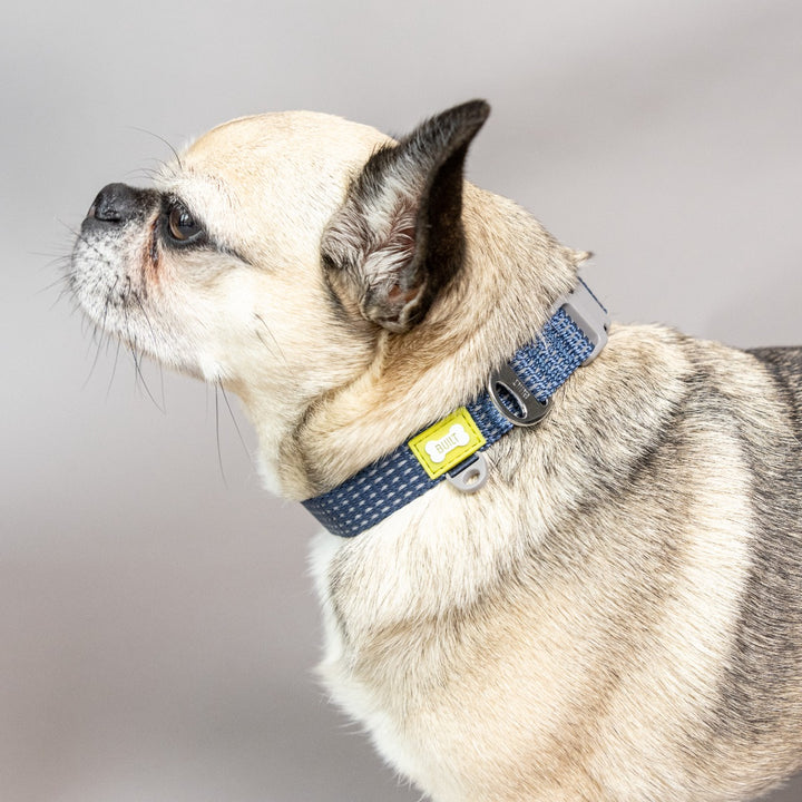 BUILT Pet NightSafe Blue Reflective Collar - 3 Sizes