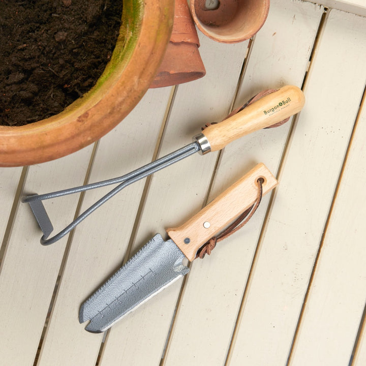 Burgon & Ball RHS Container Weeder