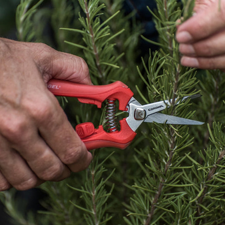 Corona Tools ComfortGel® Deadheading Snip