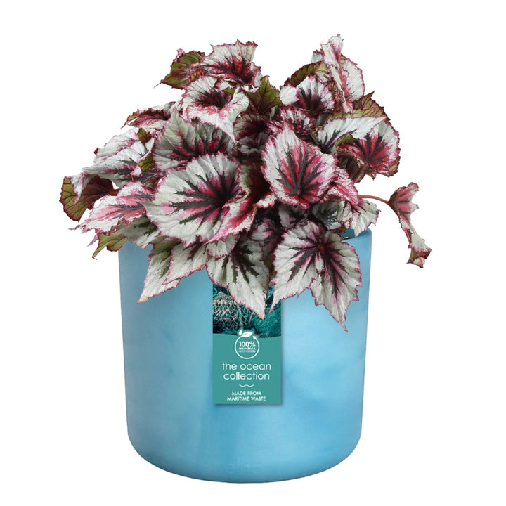 Elho Ocean Collection Recycled Plastic Plant Pot Set Various Sizes - Blue