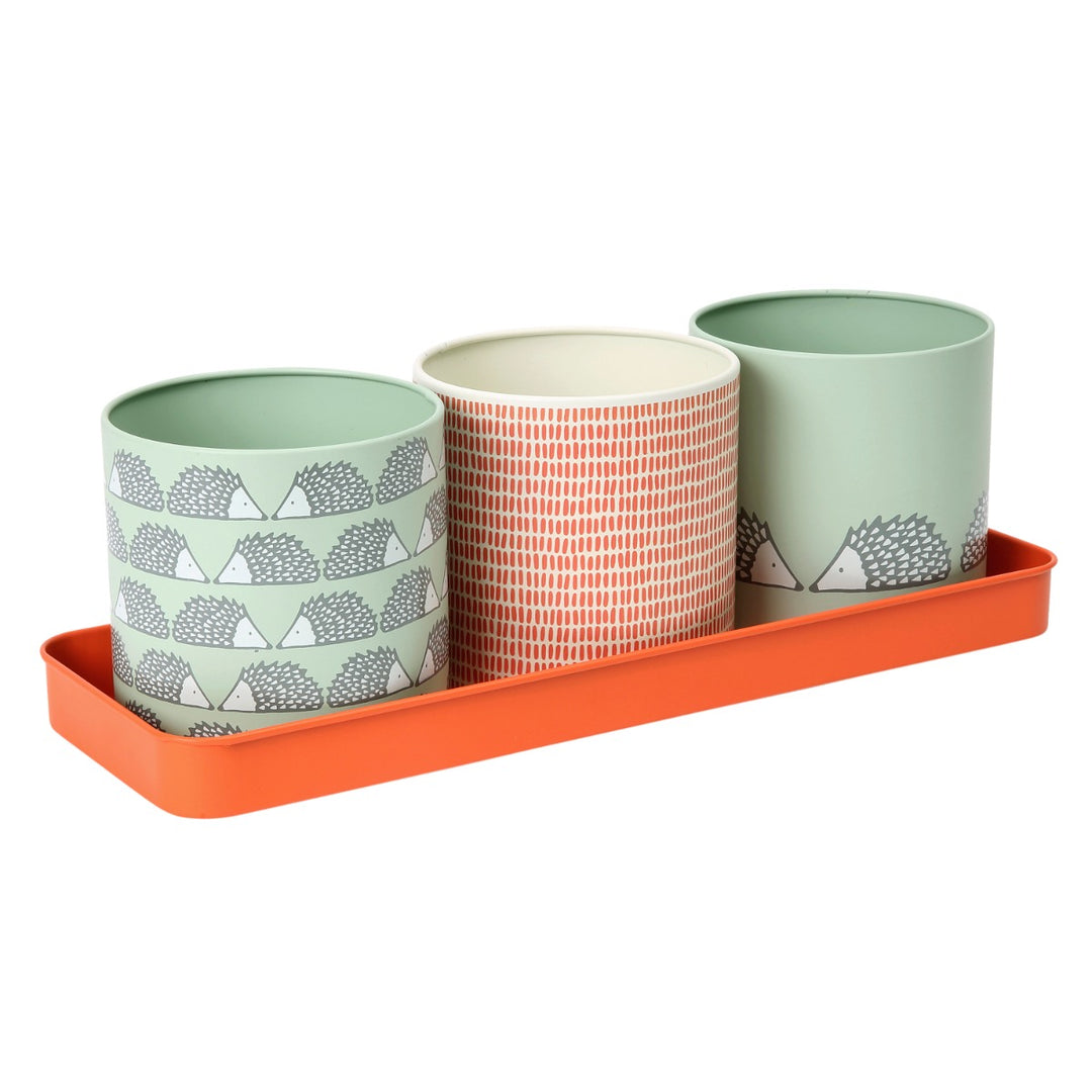Scion Spike Herb Pots Set - Sage