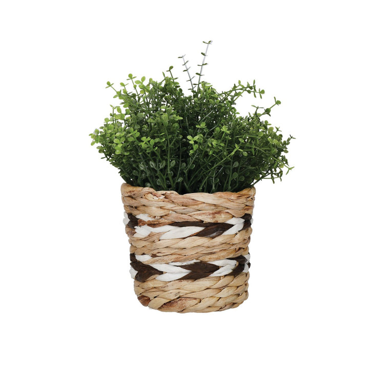 KitchenCraft Water Hyacinth Planter