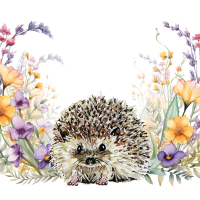 Harriet Hedgehog