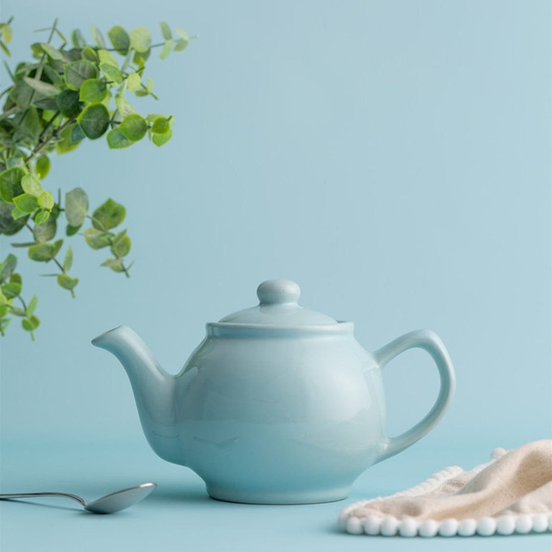 Price & Kensington Glossy Pastel Blue Teapot - 2 Cup