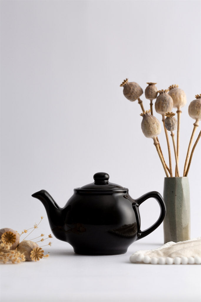 Price & Kensington Glossy Black Teapot - 2 Cup