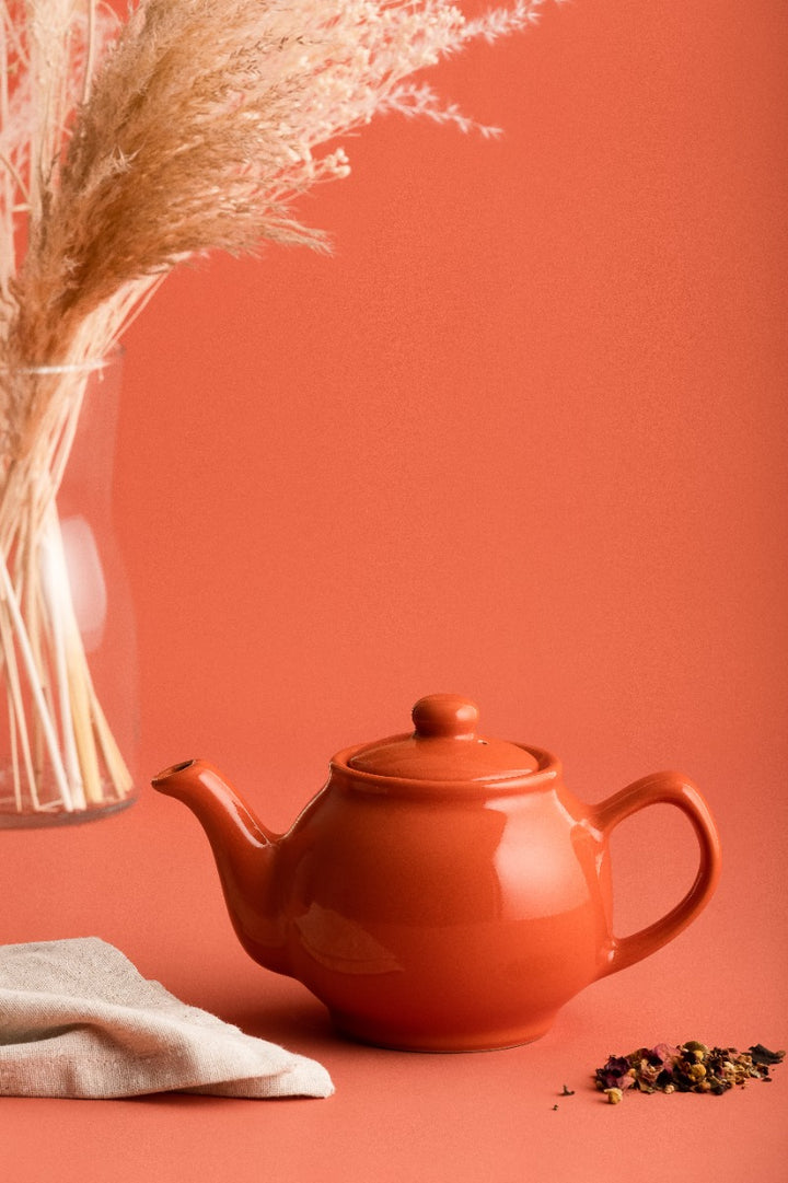 Price & Kensington Glossy Burnt Orange Teapot - 2 Cup