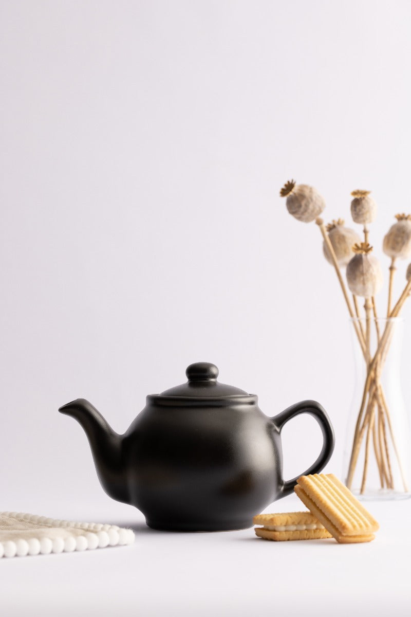 Price & Kensington Matte Black Teapot - 2 Cup