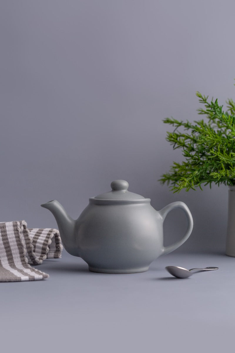 Price & Kensington Matte Charcoal Grey Teapot - 2 Cup