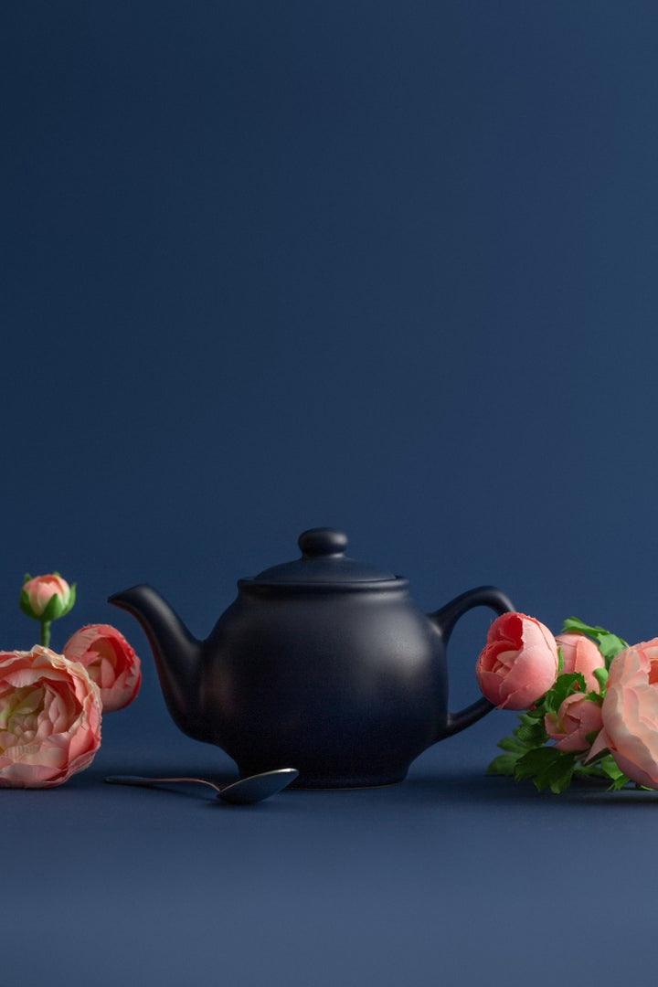 Price & Kensington Matte Navy Blue Teapot - 2 Cup