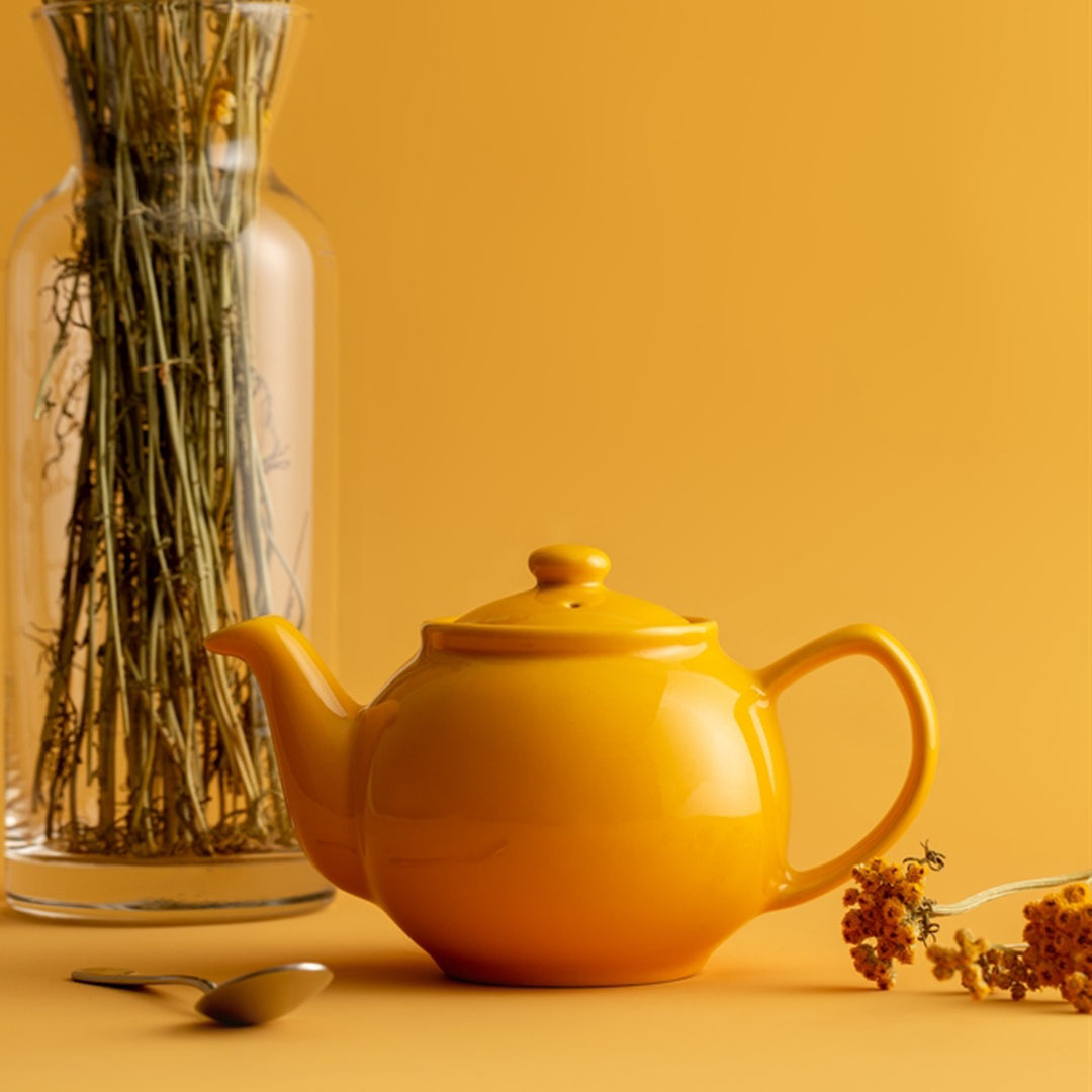 Price & Kensington Glossy Mustard Yellow Teapot - 2 Cup