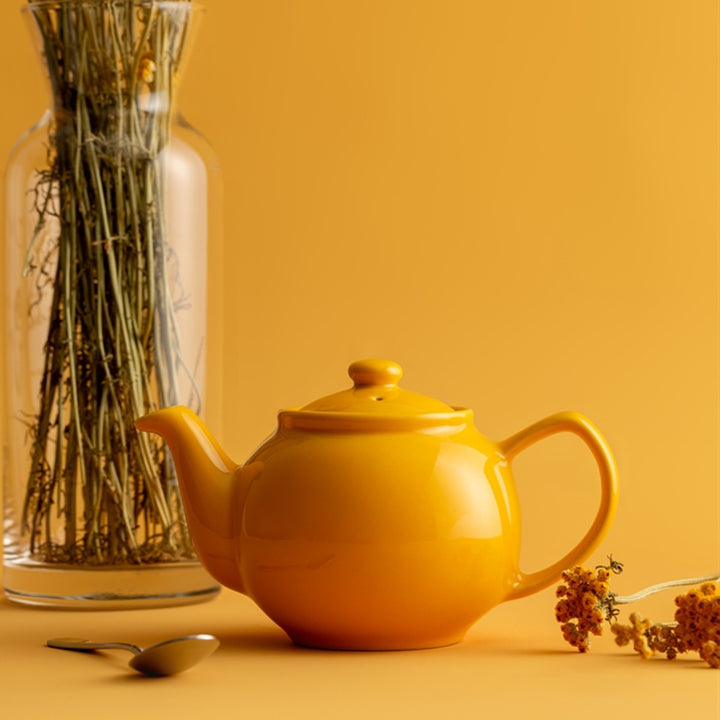 Price & Kensington Glossy Mustard Yellow Teapot - 2 Cup