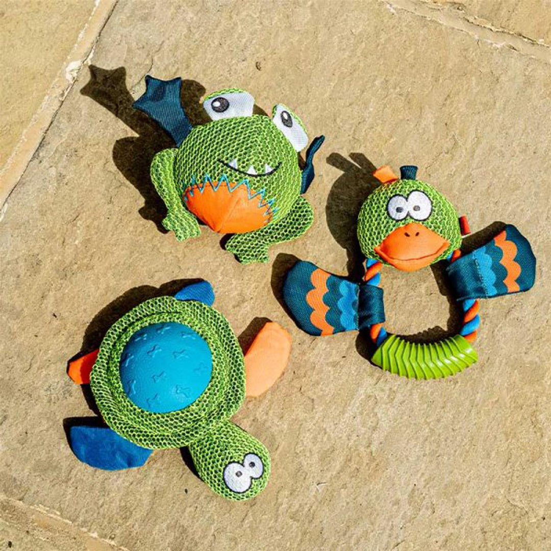Smart Garden Dog Toy - Tortoise