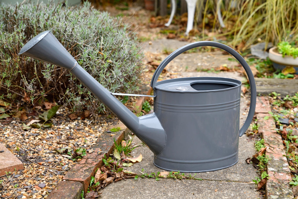 grey burgon and ball watering can for gardening