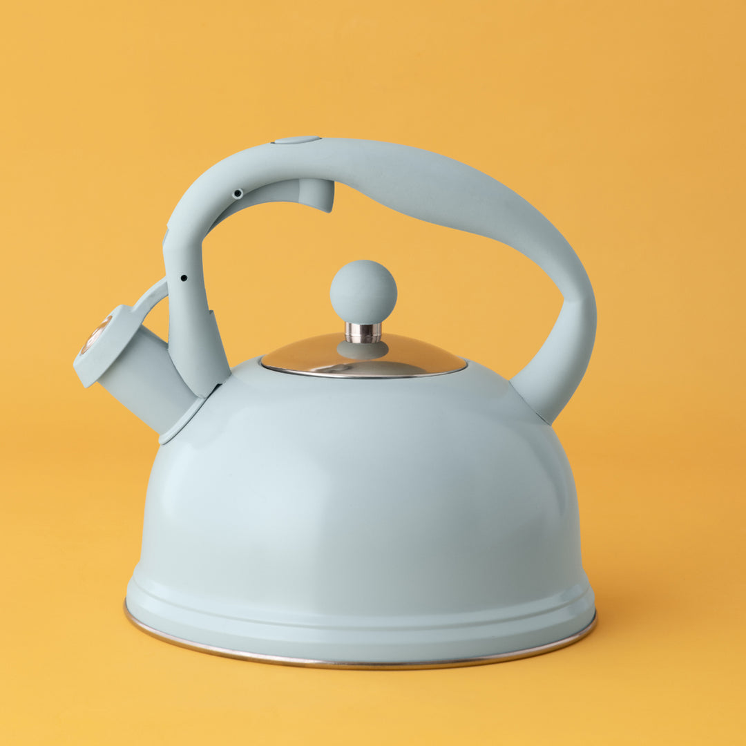 Typhoon Otto Blue Whistling Kettle