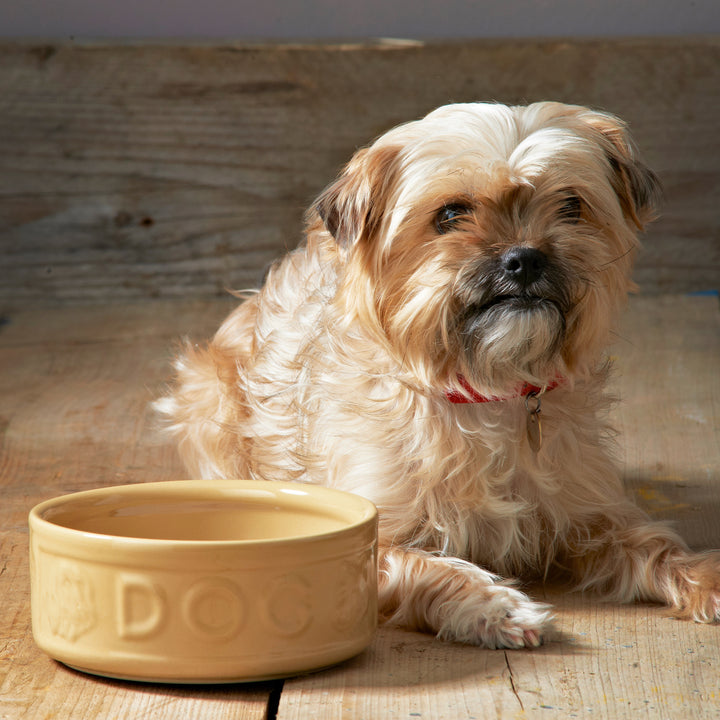Mason Cash Cane Lettered Dog Bowl