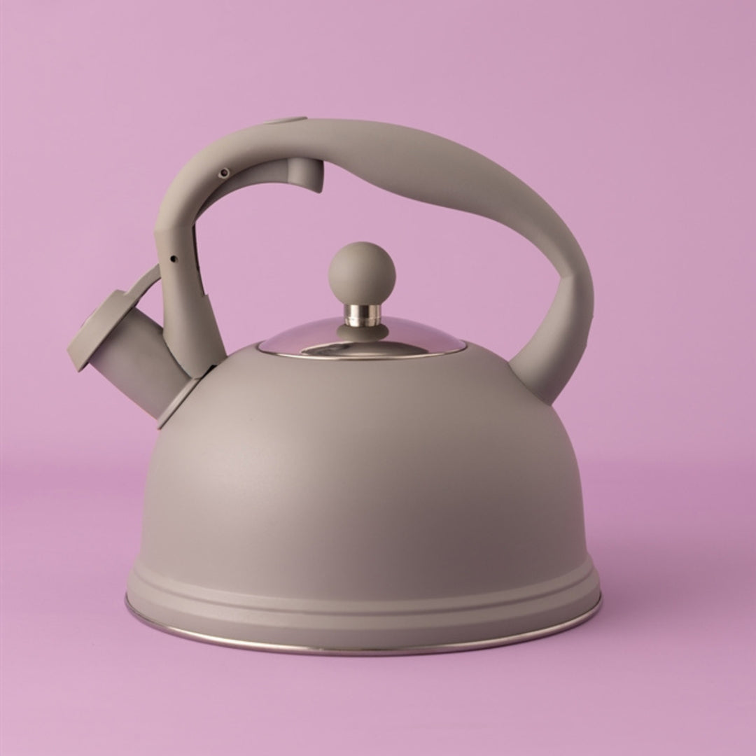 Typhoon Otto Grey Whistling Kettle