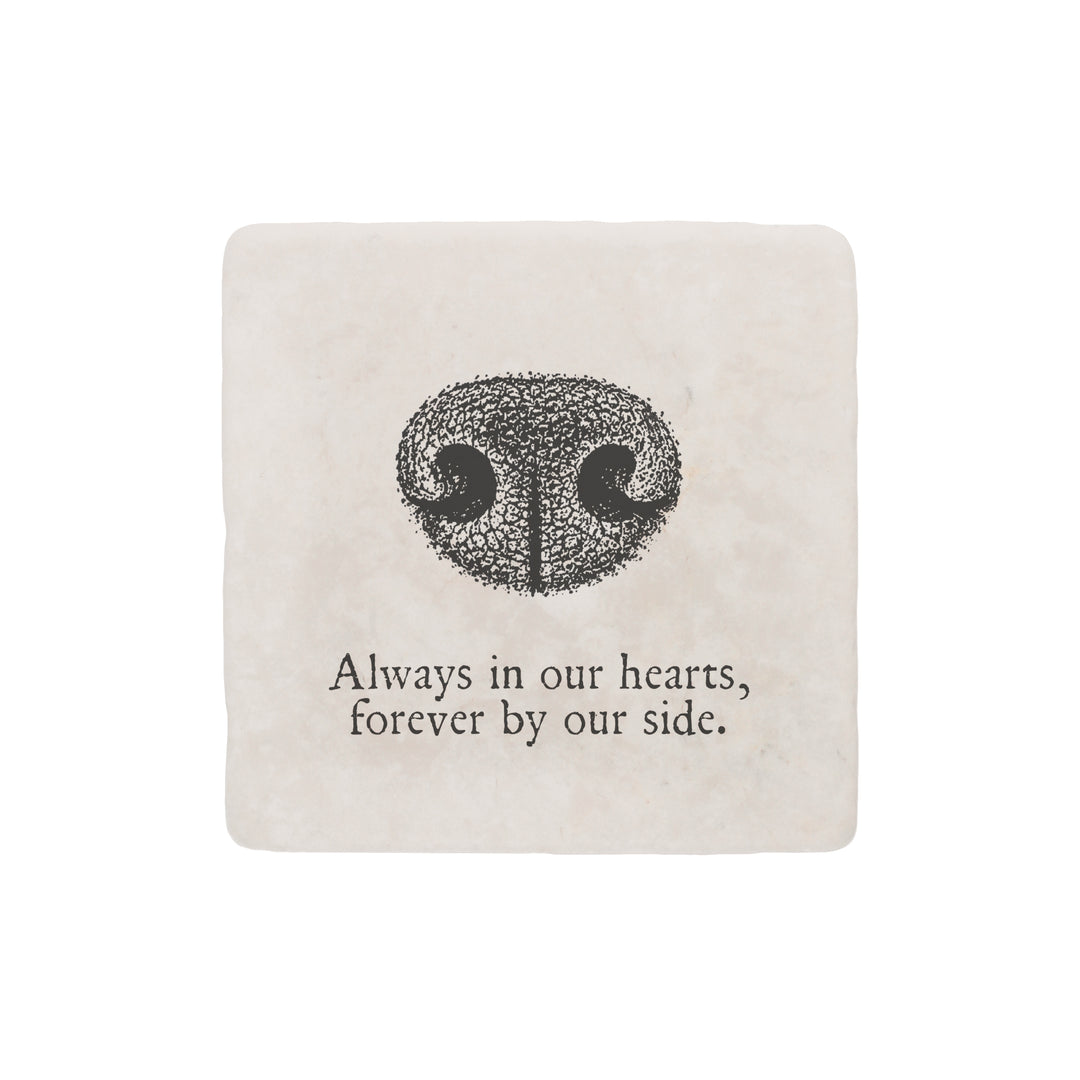 Purely Home Cherished Dog Marble Coaster Gift Box Set