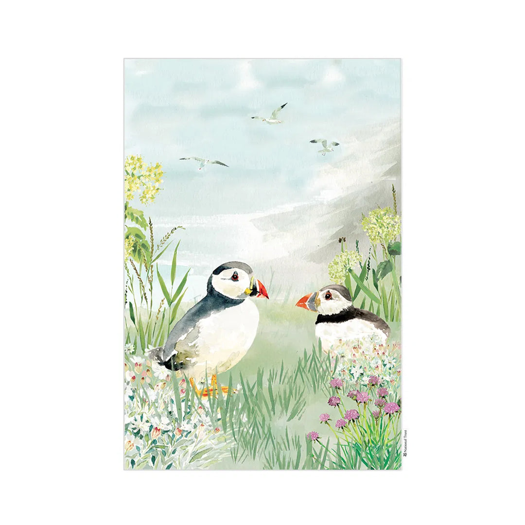 Eddingtons x National Trust Organic Cotton Tea Towel - Puffins