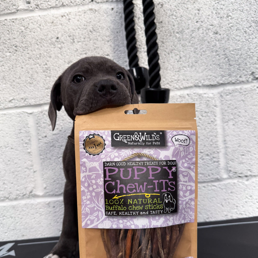 Green & Wilds Eco Dog Treats - Puppy Chew-Its