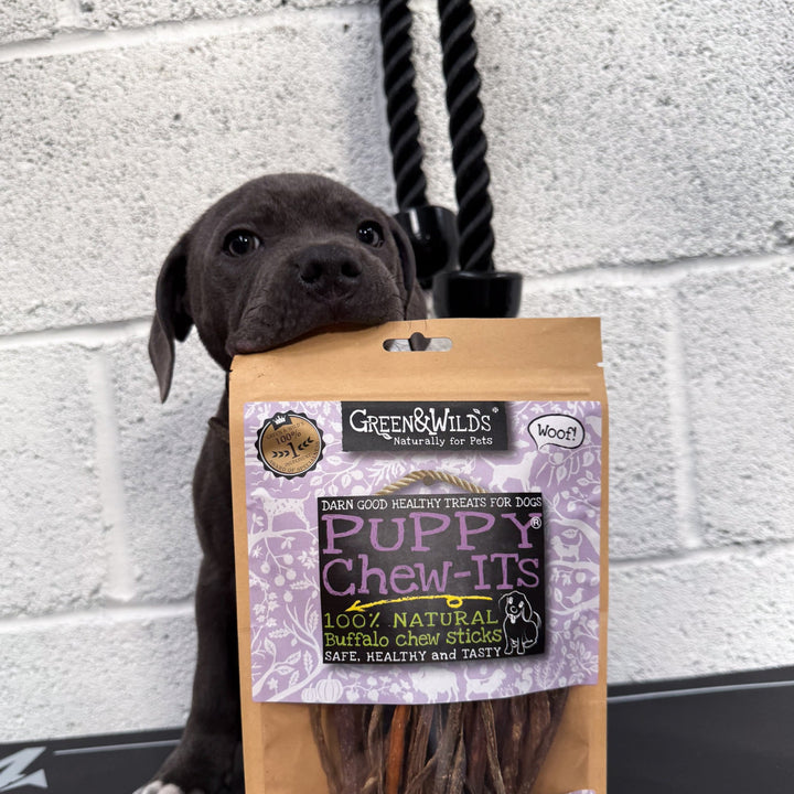 Green & Wilds Eco Dog Treats - Puppy Chew-Its
