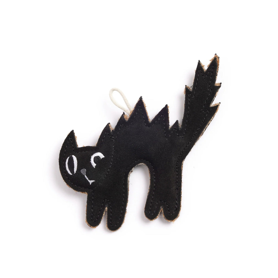 Green & Wilds Eco Dog Toy - Scaredy Cat