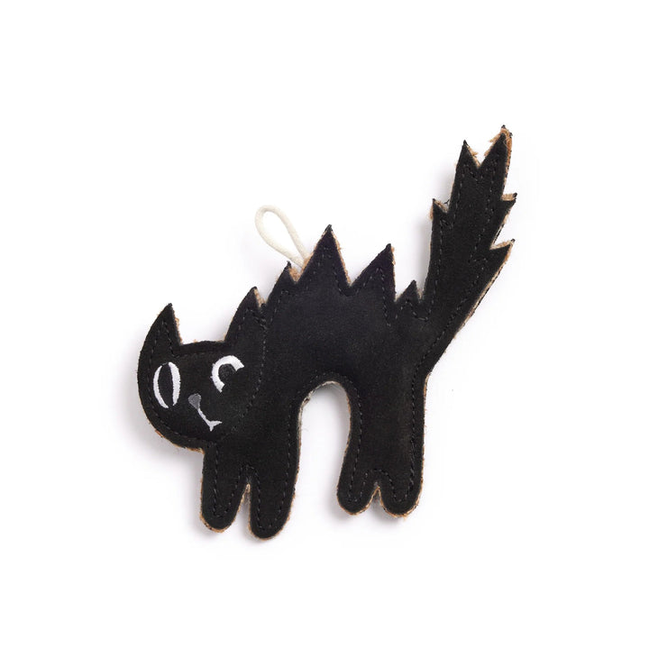 Green & Wilds Eco Dog Toy - Scaredy Cat
