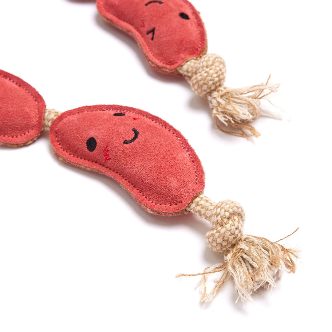 Green & Wilds Eco Dog Toy - The Sizzle Sisters