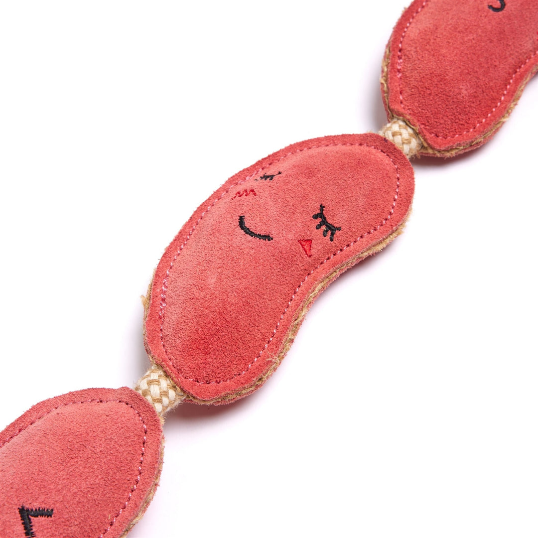Green & Wilds Eco Dog Toy - The Sizzle Sisters