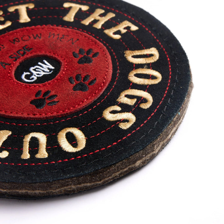 Green & Wilds Eco Dog Toy - Vinny the Vinyl