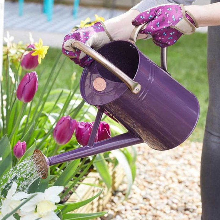 Smart Garden 4.5L Watering Can - Violet