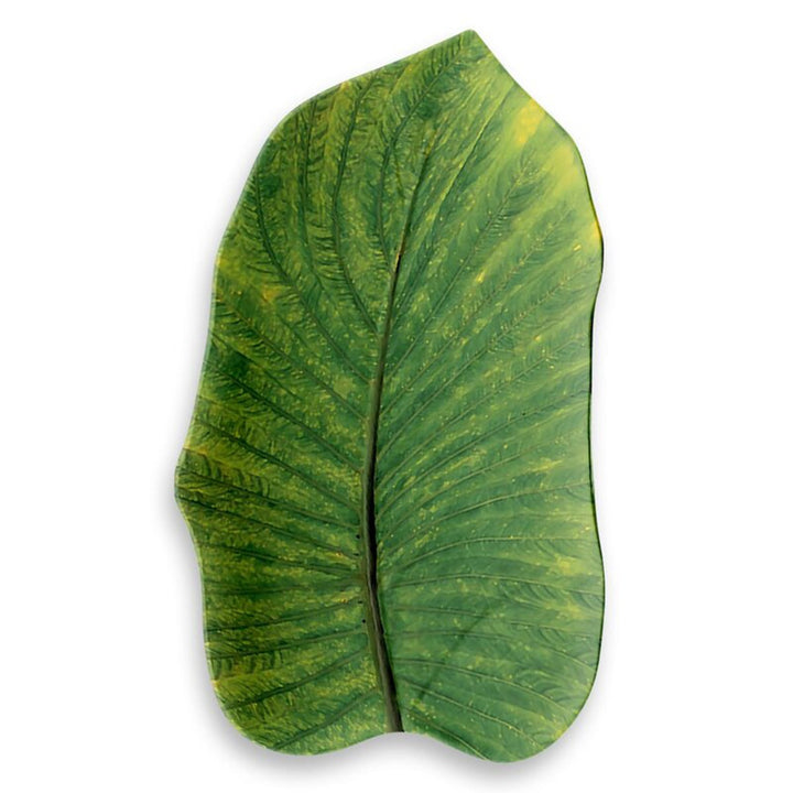 Amazon Floral Melamine Green Leaf Platter