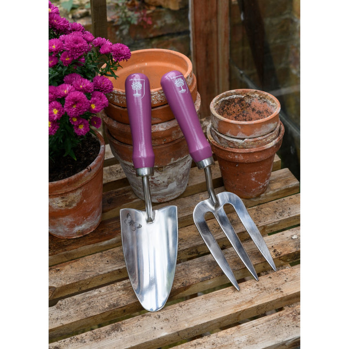 Burgon & Ball Asteraceae Trowel & Fork Set
