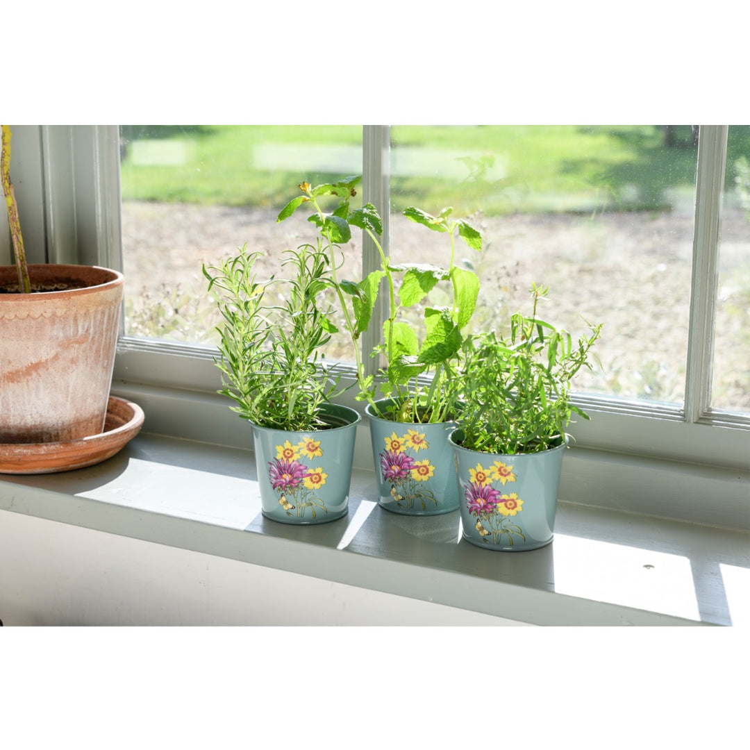 Burgon & Ball Asteraceae Set of 3 Herb Pots