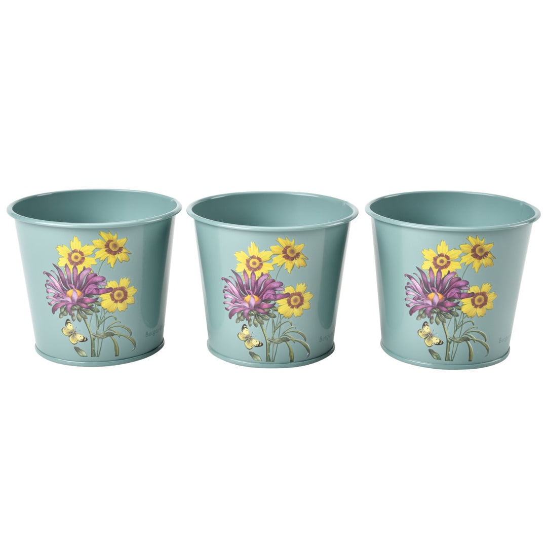  featuring the floral 'Asteraceae' RHS-endorsed design by Burgon & Ball.