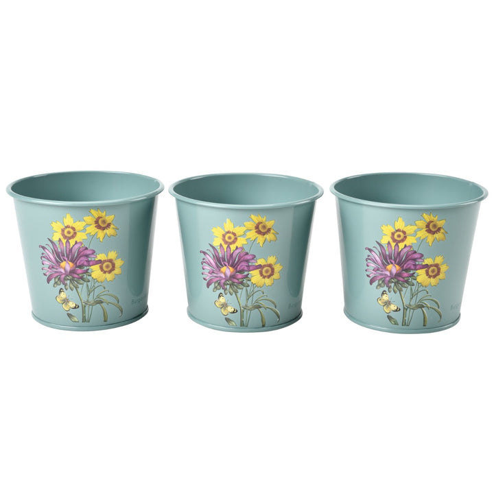  featuring the floral 'Asteraceae' RHS-endorsed design by Burgon & Ball.