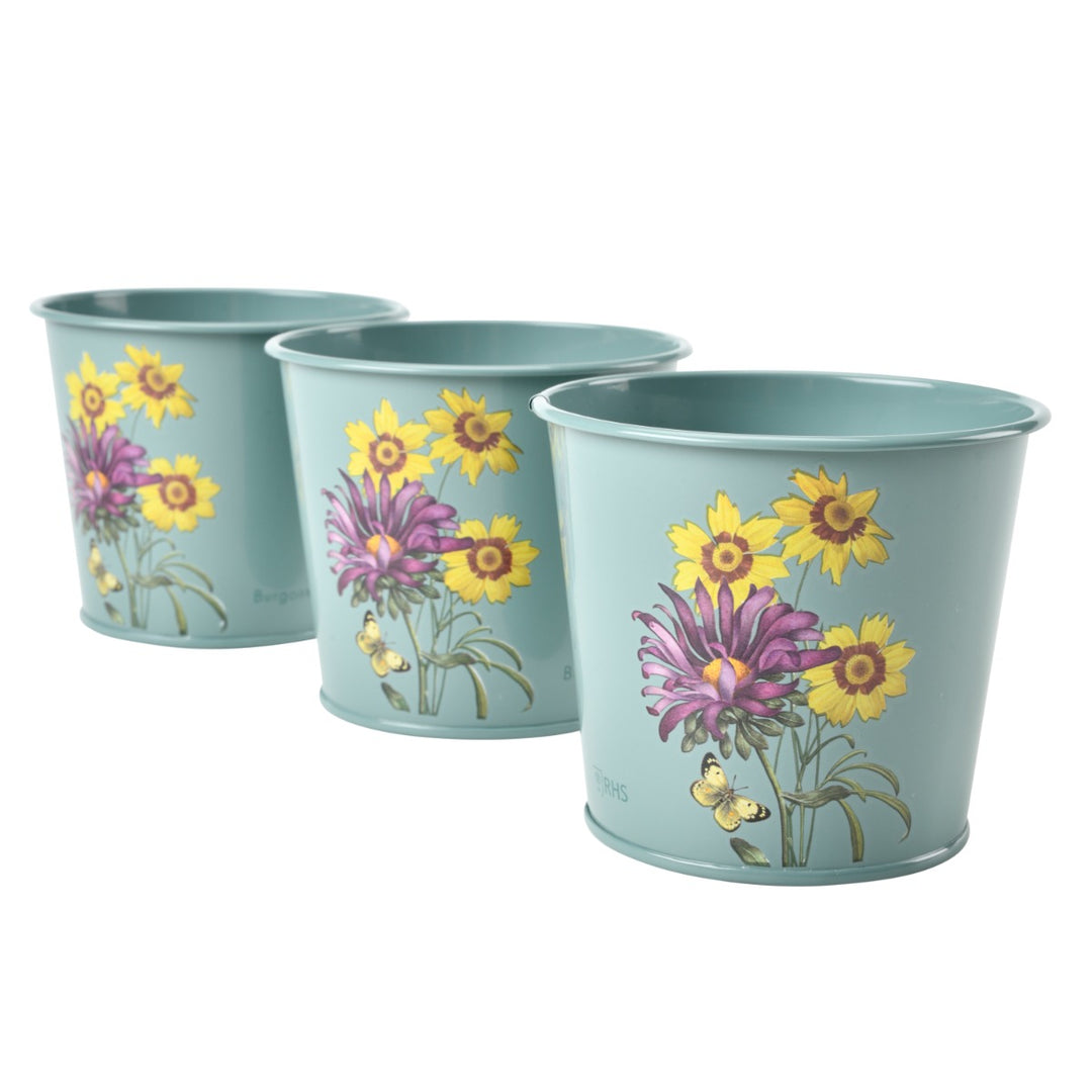 Burgon & Ball Asteraceae Set of 3 Herb Pots