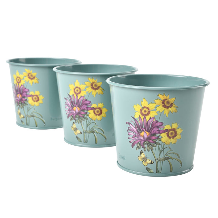 Burgon & Ball Asteraceae Set of 3 Herb Pots
