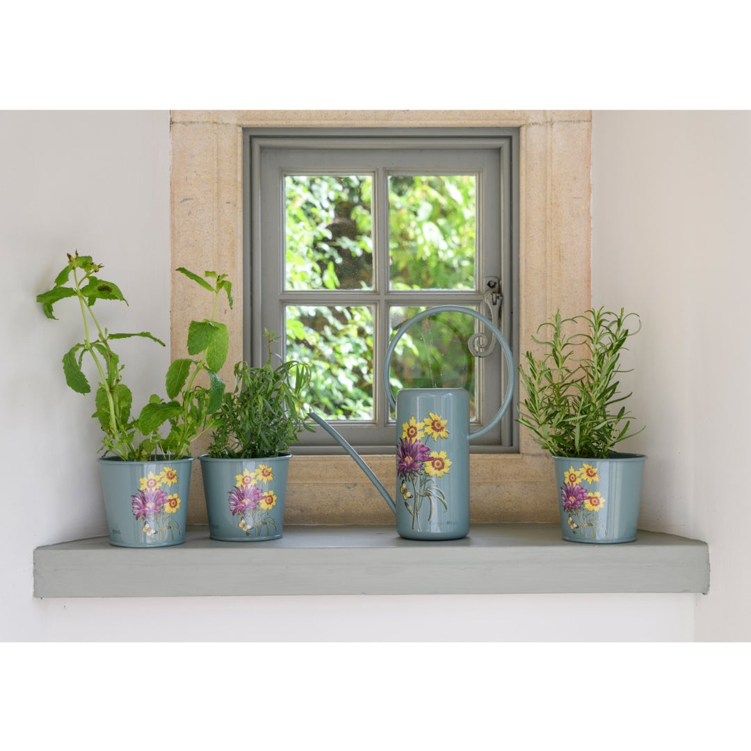 Burgon & Ball Asteraceae Set of 3 Herb Pots