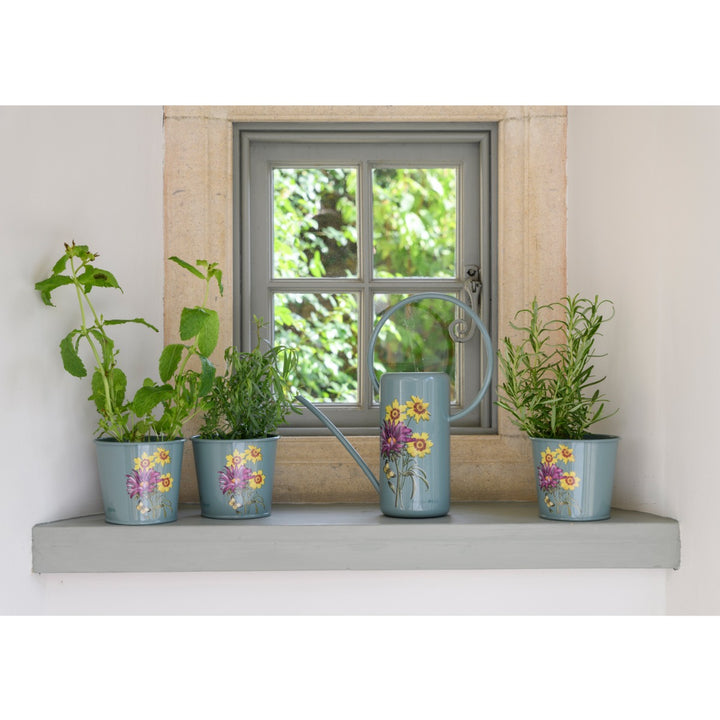 Burgon & Ball Asteraceae Set of 3 Herb Pots