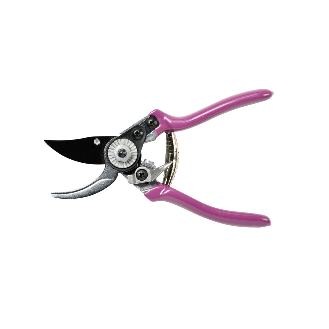 Burgon & Ball Asteraceae Pruner & Holster Set