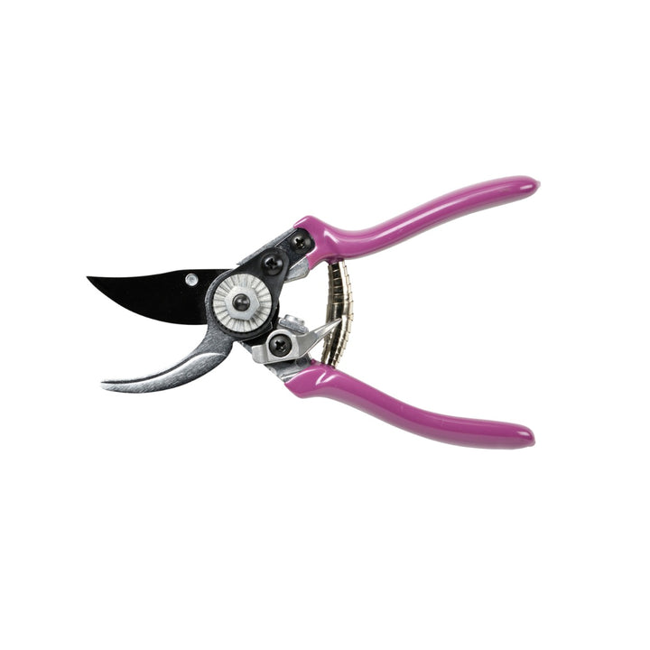 Burgon & Ball Asteraceae Pruner & Holster Set