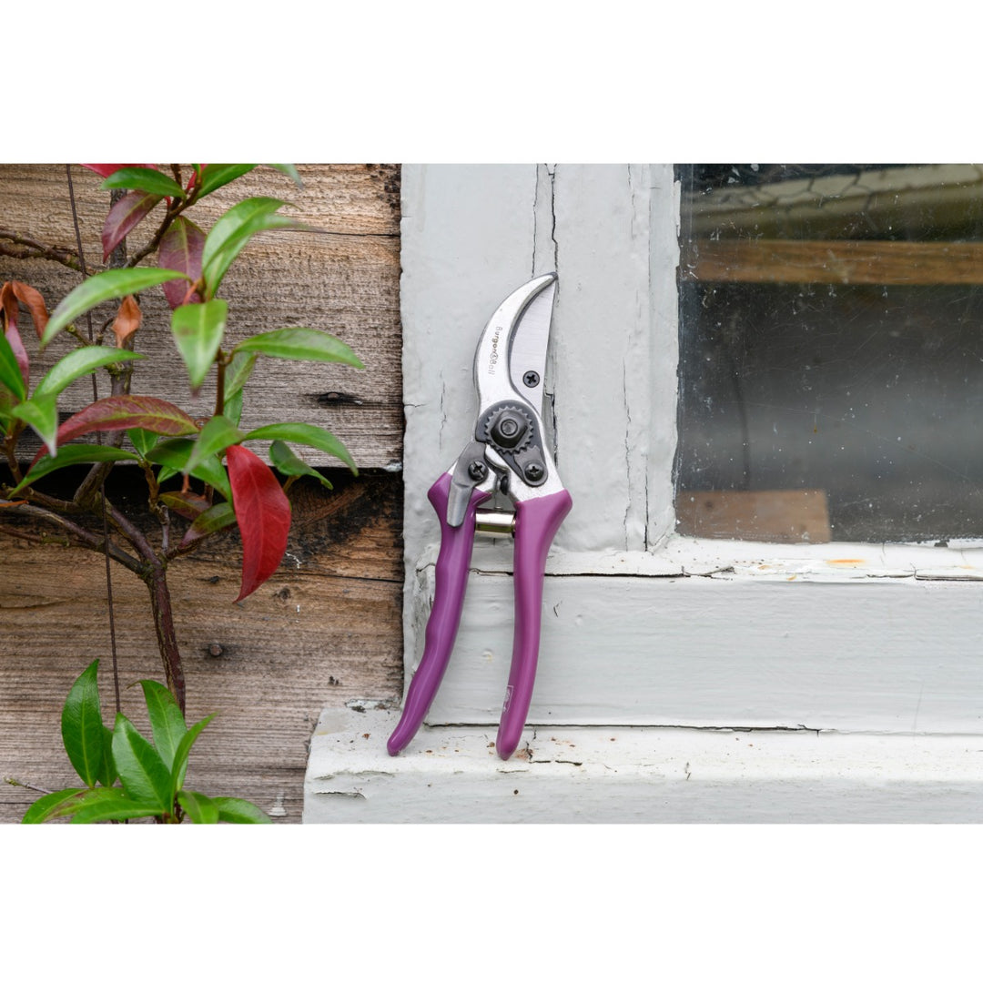 Burgon & Ball Asteraceae Secateurs