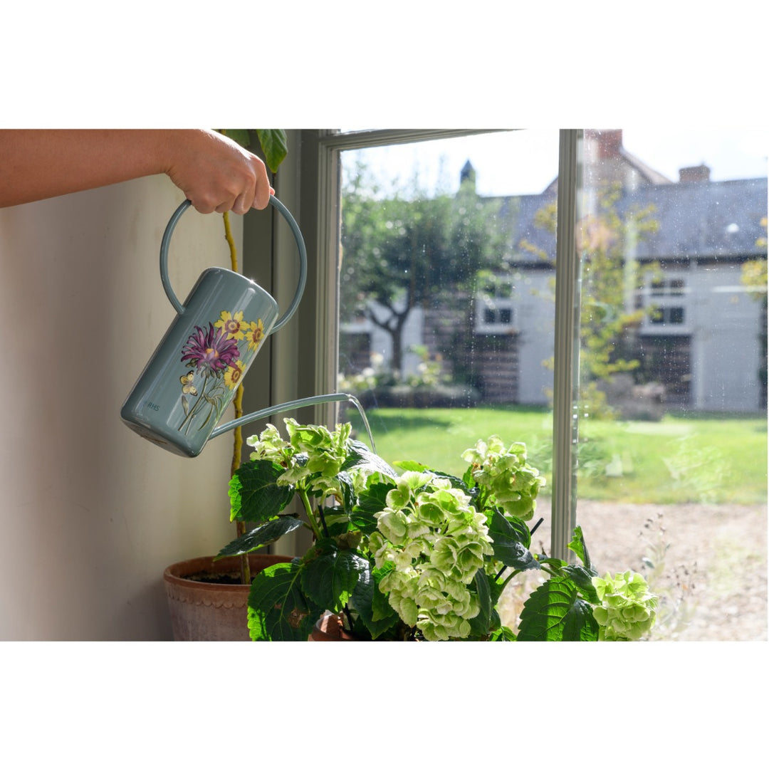 Burgon & Ball Asteraceae Indoor Watering Can