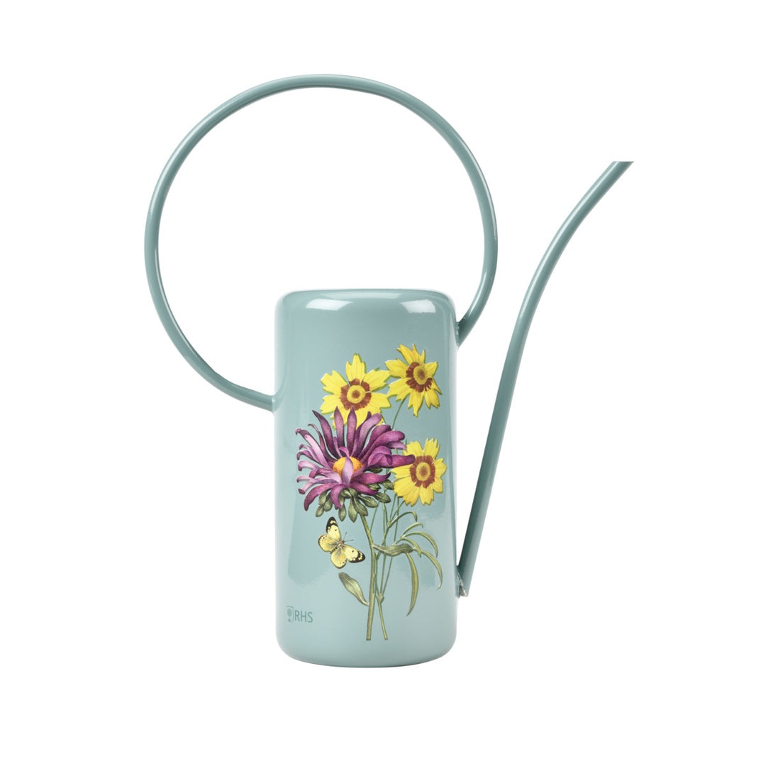  featuring Burgon & Ball's RHS-endorsed 'Asteraceae' floral design on a sage green background.