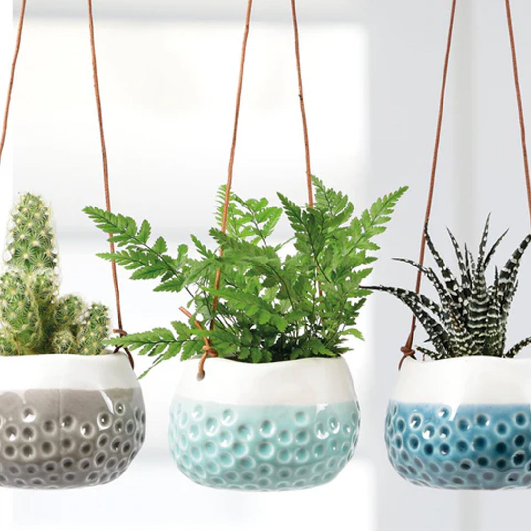 Burgon & Ball Dotty Mini Hanging Pots Set