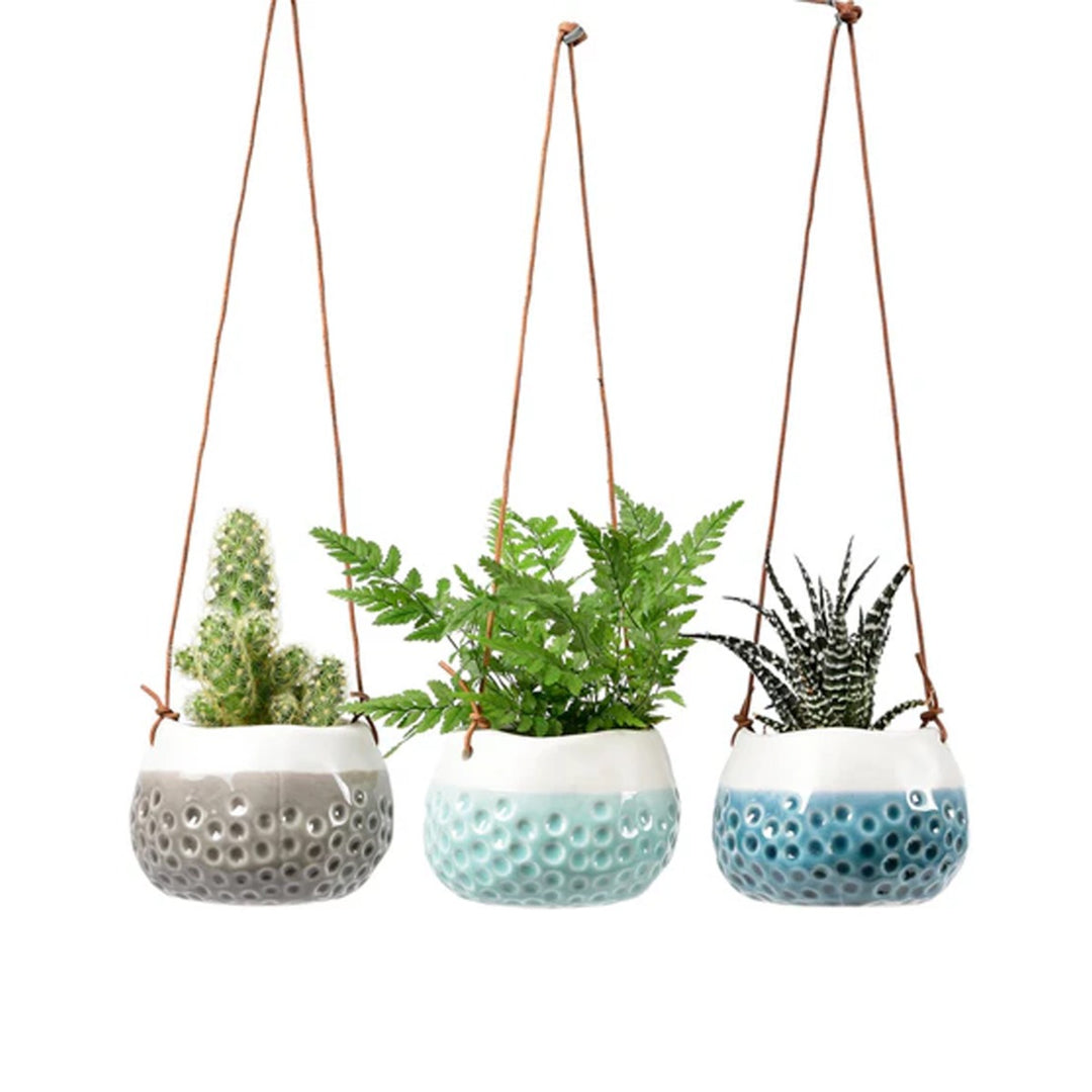  in assorted colours