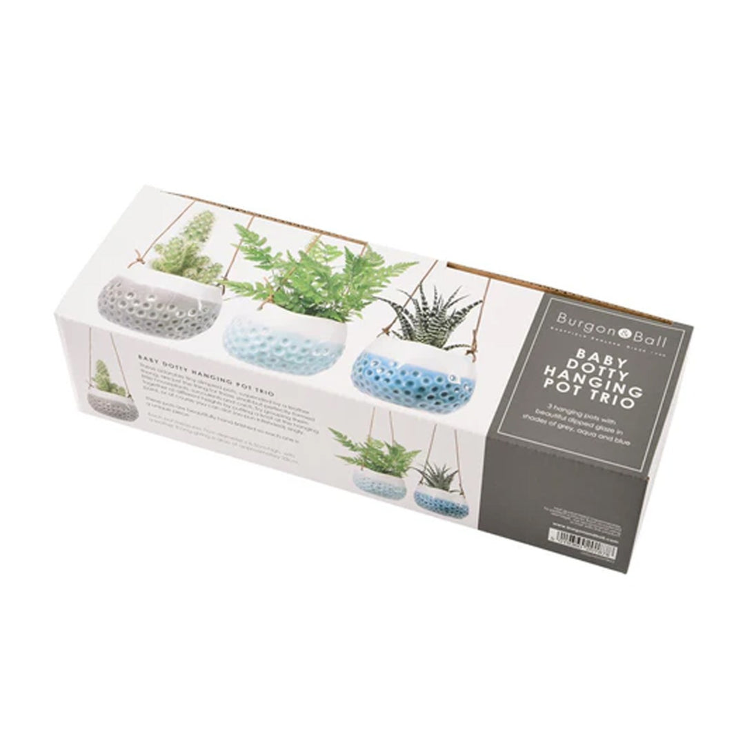  presented in a giftbox.