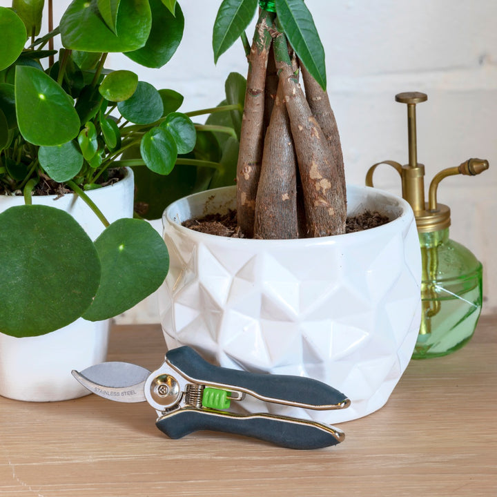 Burgon & Ball Houseplant Pruner