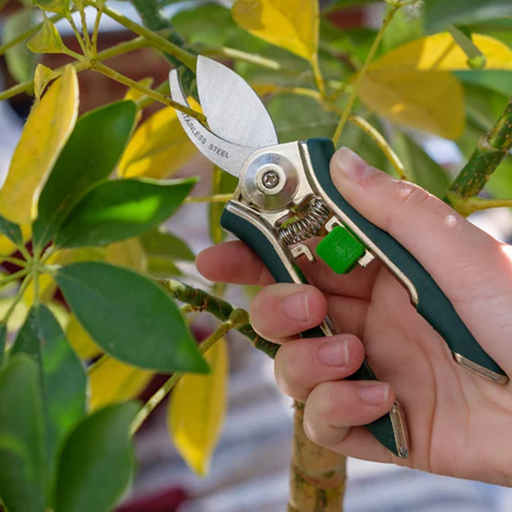 stainless steel pruner cutting through flower stem