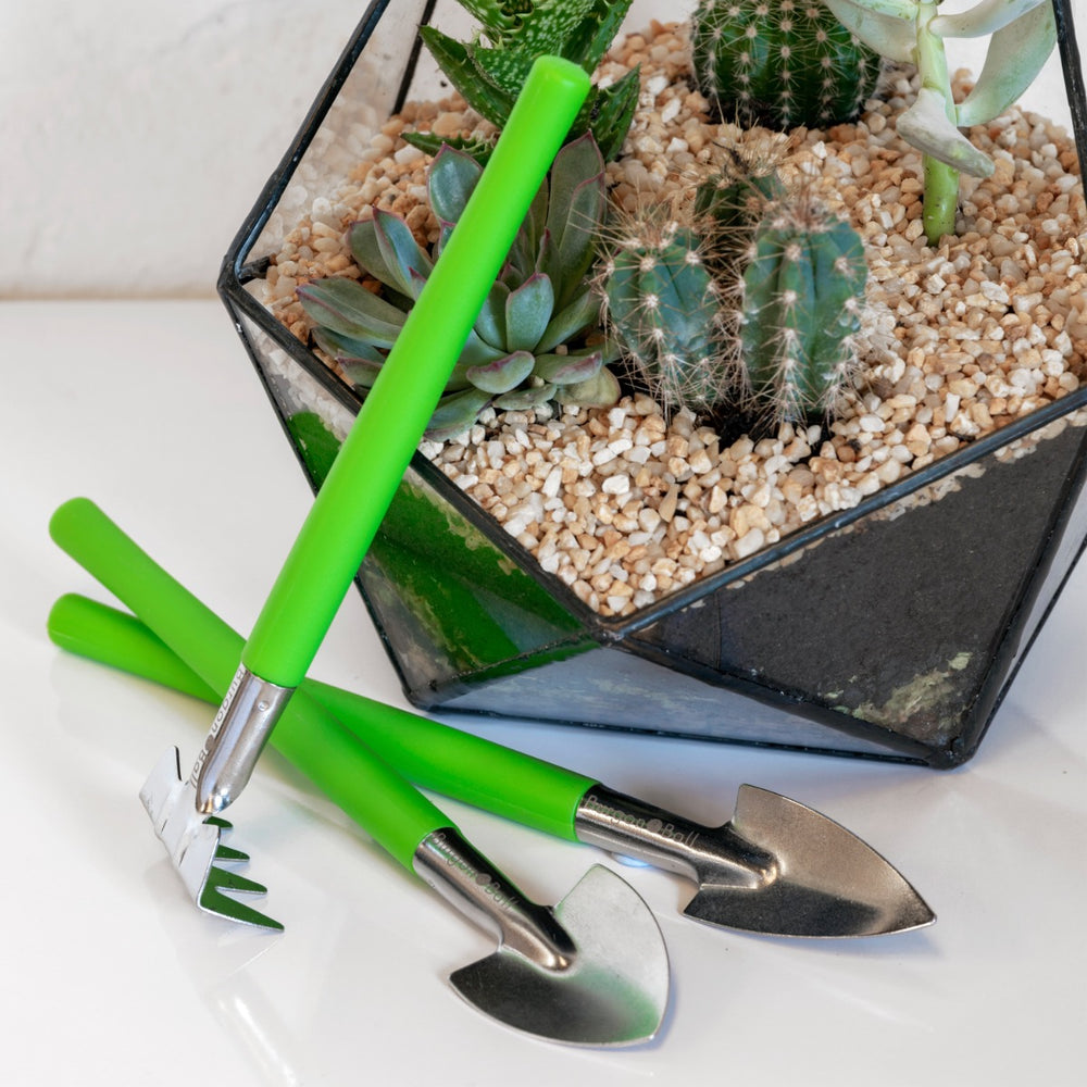 Houseplant and terrarium tool set